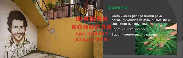 apvp Белокуриха